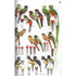 Guide to the Birds of Mexico and Northern Central America (Howell 1995, reprinted 2013)